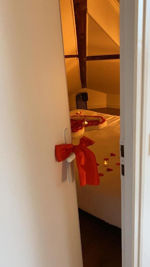 Couttet Champion Romantique Proche Gare Annecy Exterior foto